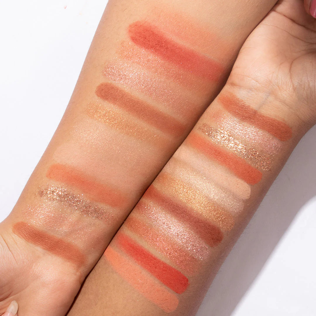 Pinkflash Pro Touch Eyeshadow Palette-04# Grapefruit Mousse 4pc Set + 1 Full Size Product Worth 25% Value Free