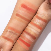 Pinkflash Pro Touch Eyeshadow Palette-04# Grapefruit Mousse 4pc Set + 1 Full Size Product Worth 25% Value Free