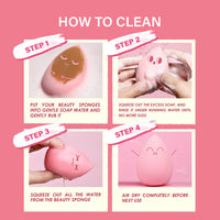 Pinkflash Beauty blender Pink 4pc Set + 1 Full Size Product Worth 25% Value Free