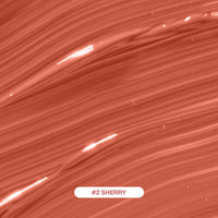 Focallure Hangover Red Wine Blusher -B02 Sherry 4pc Set + 1 Full Size Product Worth 25% Value Free