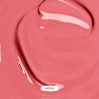 Focallure Color Lasting Lip Tint-#PP02 4pc Set + 1 Full Size Product Worth 25% Value Free