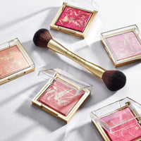 Revolution Pro Lustre Blusher Coral 4pc Set + 1 Full Size Product Worth 25% Value Free